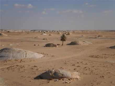 По дорозі між Каср-аль-Фарафра (в оазі Фарафра) та Бавіті (оаза Бахарійя) розташовані два унікальні місця: Біла та Чорна пустелі